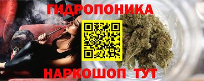 шишки Пушкино
