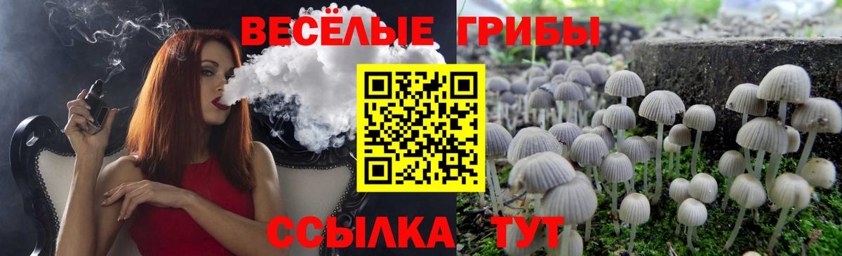 Псилоцибиновые грибы GOLDEN TEACHER  Вход с VPN  Санкт-Петербург 